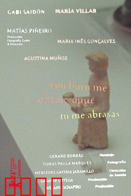 你燃烧了我：烈焰中的爱情