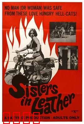 皮衣姐妹：硬核复仇