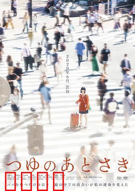 雨季过后：云开雾散