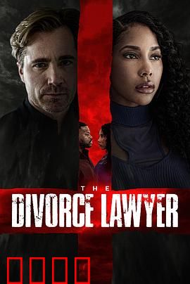离婚律师：情感与法律的博弈