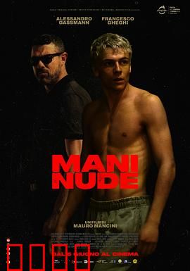 赤手空拳：铁拳复仇