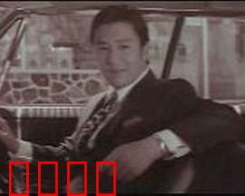 青春恋歌：错过的告白