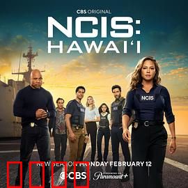 海军罪案调查处：海上惊魂