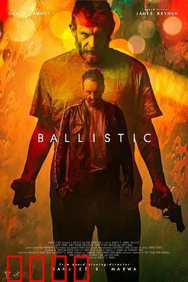 弹道：枪口下的政治