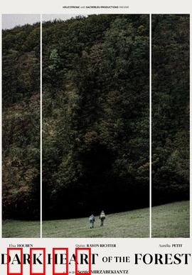 森林的黑暗心脏：真相令人窒息