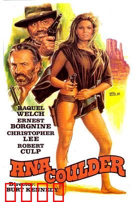 复仇的女枪手：荒野复仇路