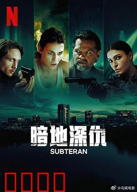 暗地深仇：复仇迷雾