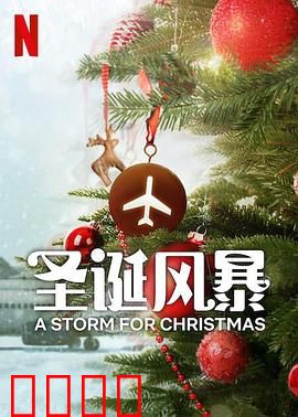 圣诞风暴：暴雪营救