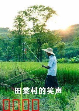 田棠村的笑声：乡村喜剧振兴路