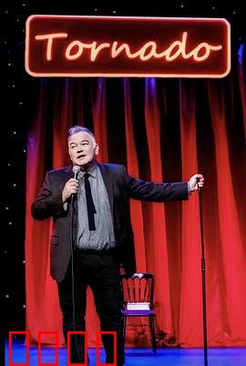 斯图尔特·李：笑匠的崛起