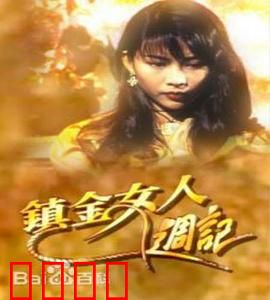 镇金女人周记粤语：职场女性的生存智慧