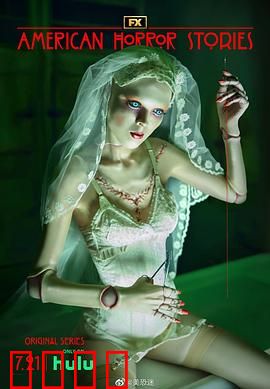 美国恐怖故事集第二季：暗夜疯人院