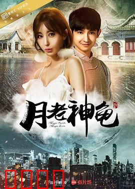 月老神龟：神龟牵红线