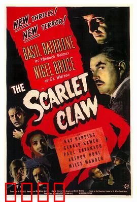 红爪子：暗夜追踪