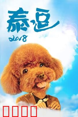 泰逗2018：爆笑泰国奇遇