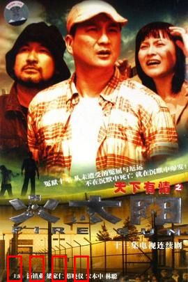 天下有情之火太阳国语：爱的代价