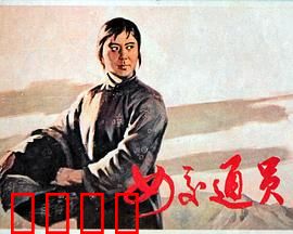 女交通员：神秘情报护送