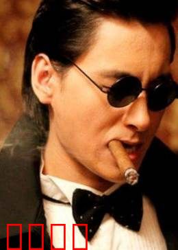 百合绽放：逆境中的绚烂