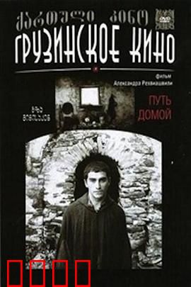 返乡之路：绝望中的救赎