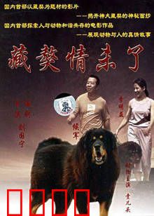 藏獒情未了：忠犬守主一生