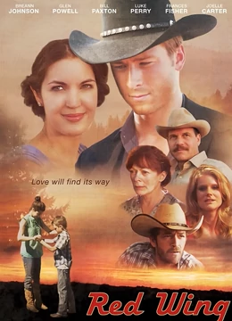 隐形红翼：神秘战机