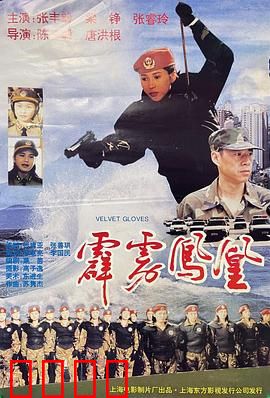 霹雳凤凰：巾帼不让须眉