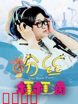 粉丝杠杠滴：疯狂追星路