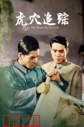 虎穴追踪：智斗特务