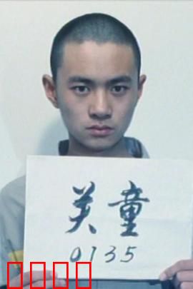 谁的孩子：真相揭露