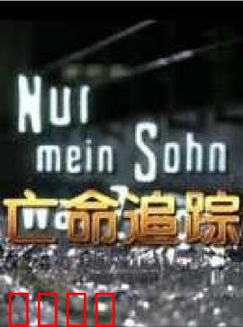 亡命追踪：极限逃亡