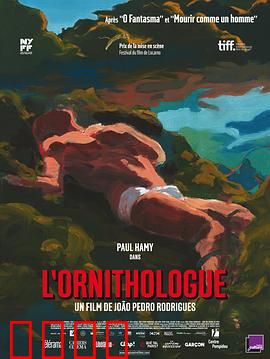 鸟类学家：森林迷踪