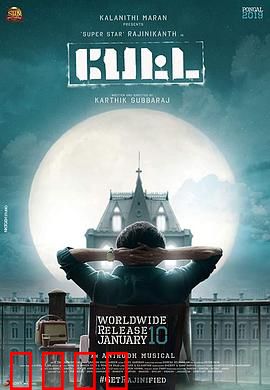 神勇佩塔：荒野求生记