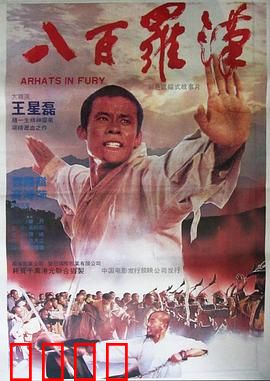 八百罗汉：血战少林