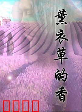 薰衣草的香：爱在普罗旺斯