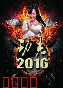 功夫2016：都市侠影
