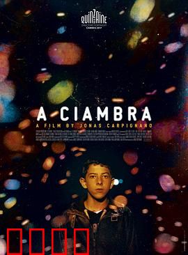 罗姆男孩：逆境成长