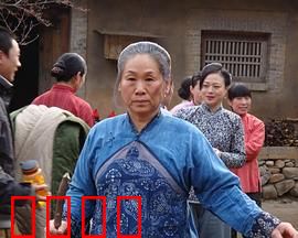 野茱萸：迷雾中的复仇