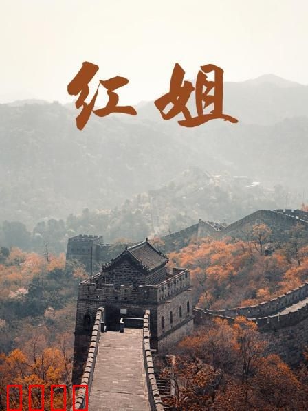 红姐2017：复仇之路