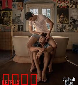 钴蓝爱恋：盲女与画家的情缘