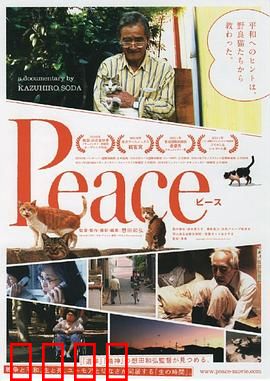 完全和平手册：日常中的和平真相