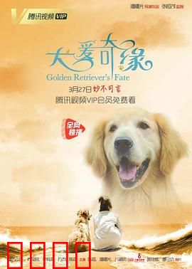 犬爱奇缘：忠犬逆袭人生