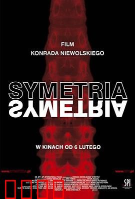 对称：镜像迷局