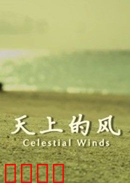 天上的风：追梦少年的天空之旅