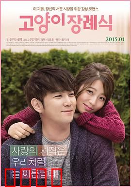 猫的葬礼：无声的告别