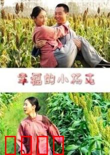 幸福的小杨屯：脱贫新篇章