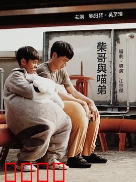 柴哥与喵弟：跨越种族的兄弟情