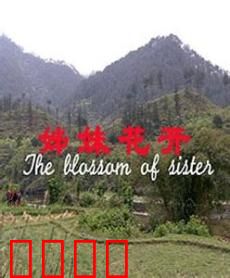 姊妹花开：姐妹情深燃爆屏幕