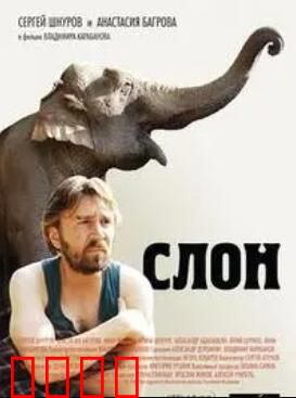 大象菩提：异乡漂泊的诗意