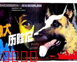 狼犬历险记：忠诚守护