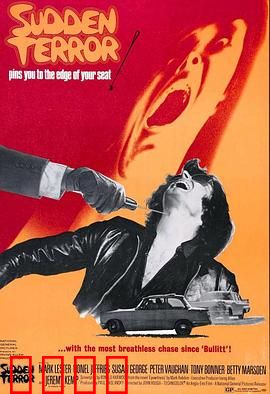 小英雄与大刺客：侠义少年心